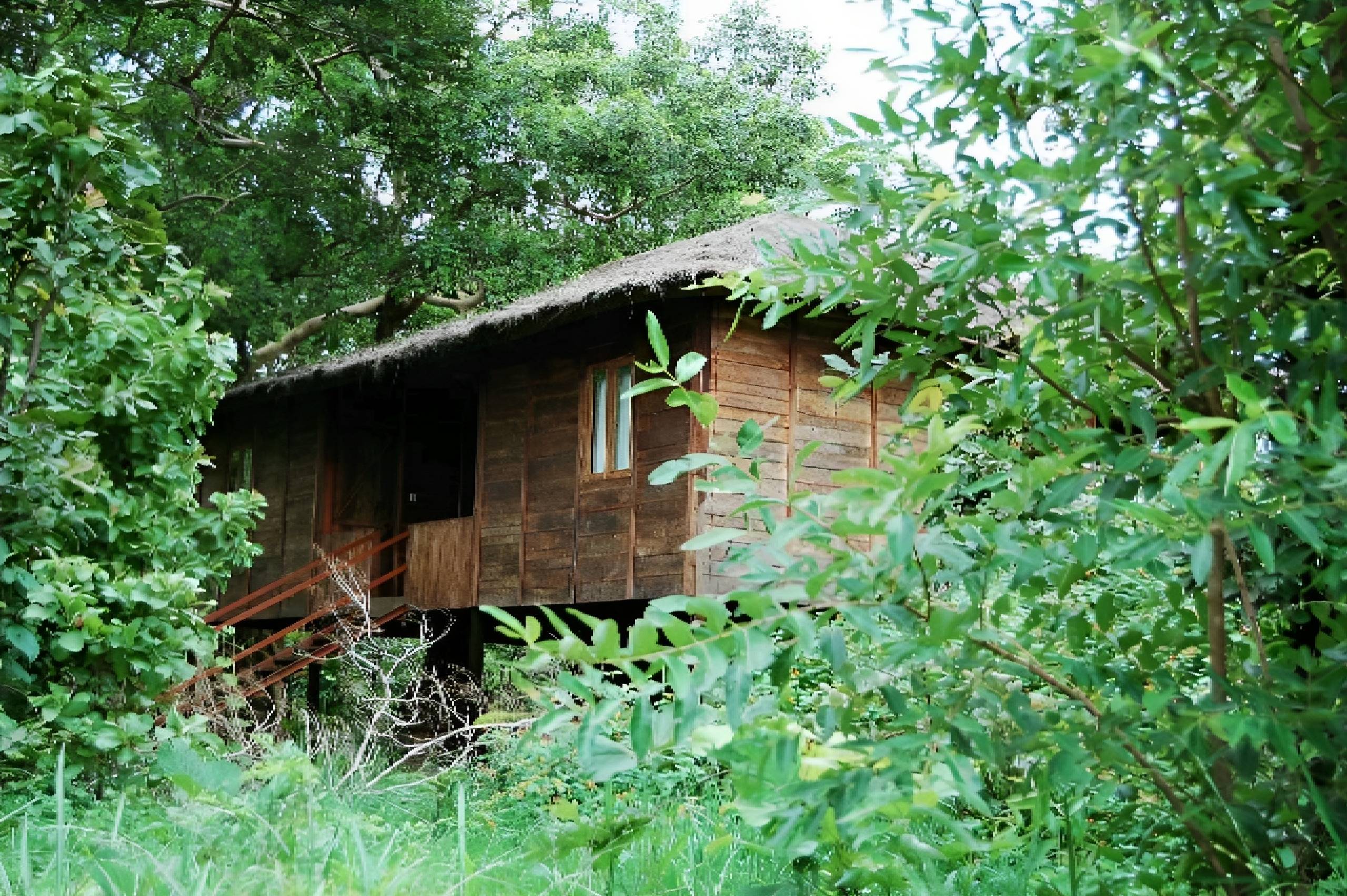wooden machan resort in pench